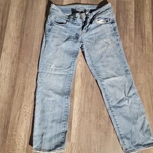 American Eagle crop size 2
